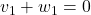 v_{1} + w_{1} = 0