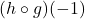 (h \circ g)(-1)