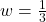 w = \frac{1}{3}