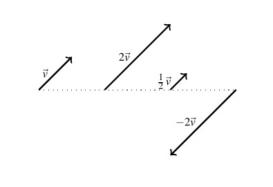 For vectors side by side. The first is vector v with the initial point on a dashed line. The second vector is in the same direction as v, but twice as long. The third vector is in the same direction as v, but half as long. The last vector is the same length as 2v, but in the opposite direction. All four vectors start at the horizontal dashed line.